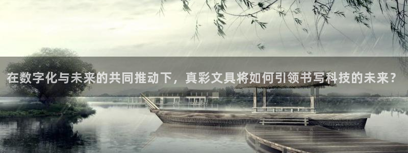 龙八国际官网首页：在数字化与未来的共同推