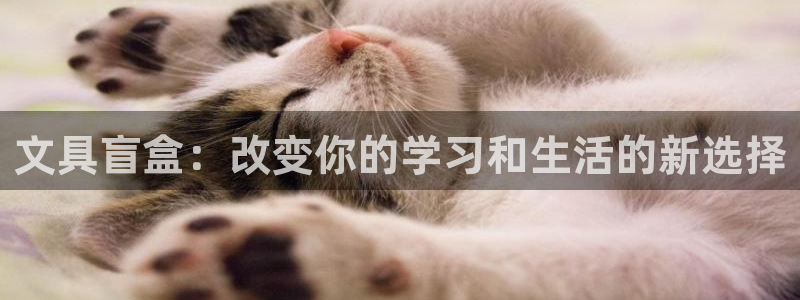 龙八国际娱乐正版：文具盲盒：改变你的学习