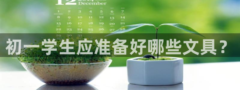 龙八国际娱乐官网首页：初一学生应准备好哪