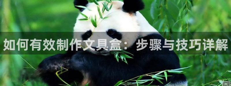 龙八国际游戏维护时间：如何有效制作文具盒