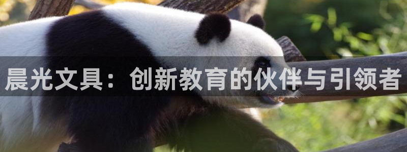 龙八国际娱乐官方网址：晨光文具：创新教育