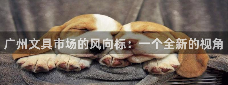 龙八国际是个什么游戏机：广州文具市场的风