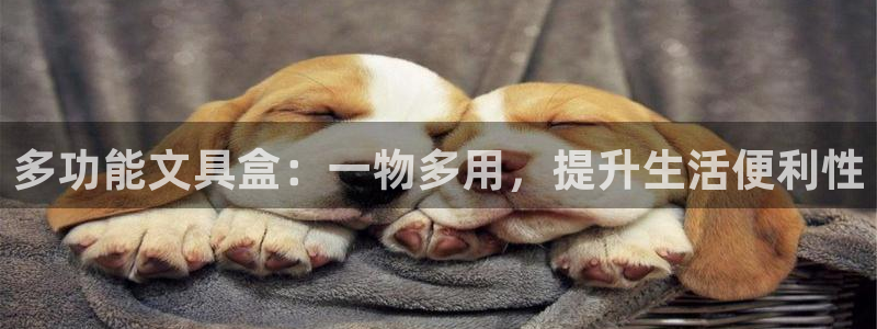 龙八国际官方网站：多功能文具盒：一物多用