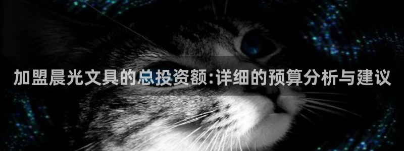 龙八国际娱乐app下载：加盟晨光文具的总