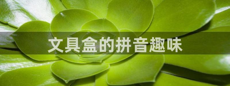 龙八国际pt娱乐老虎机：文具盒的拼音趣味