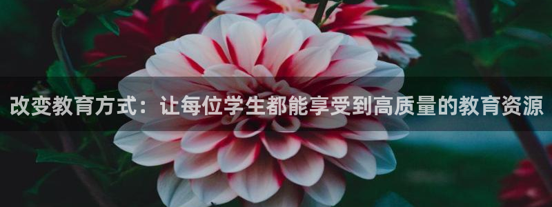 龙八国际视频网站：改变教育方式：让每位学