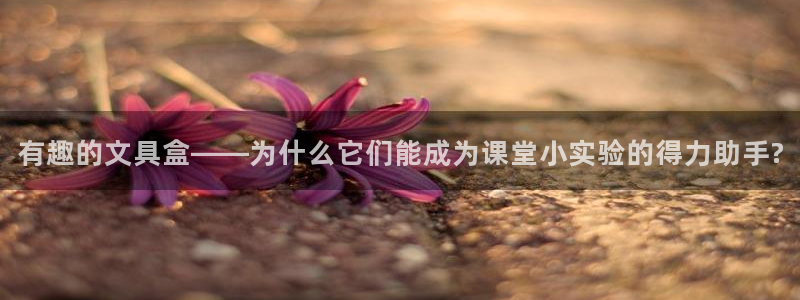 龙八国际服官方：有趣的文具盒——为什么它