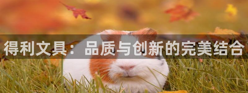 不会玩龙八国际：得利文具：品质与创新的完