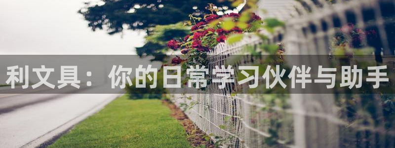 龙八国际服官网入口：利文具：你的日常学习