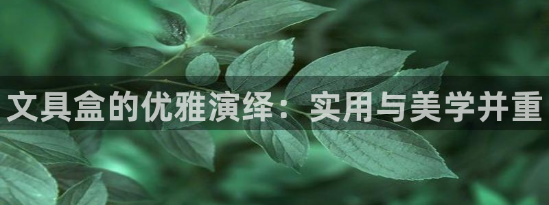 下载龙八国际app：文具盒的优雅演绎：实