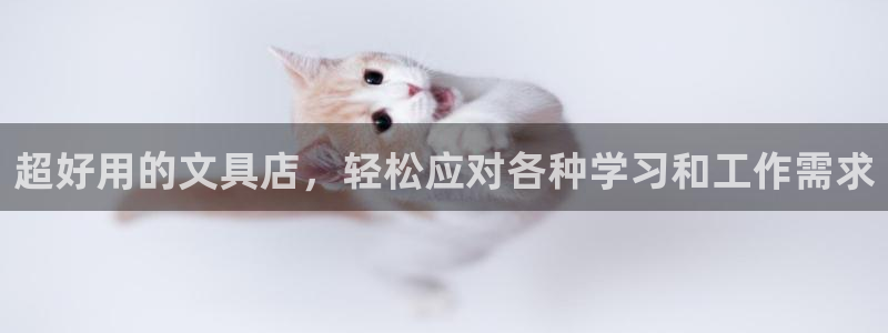 龙八国际手机版下载安装：超好用的文具店，