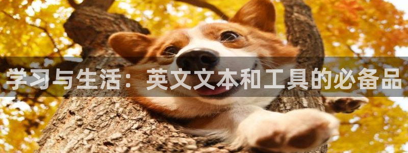 龙八国际不管吗：学习与生活：英文文本和工