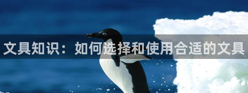龙八国际手机登录入口：文具知识：如何选择