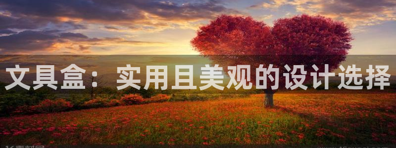 龙八国际 官网：文具盒：实用且美观的设计