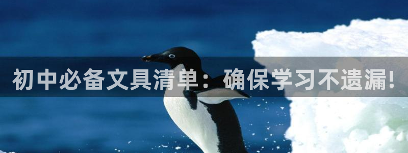怎么举报龙八国际：初中必备文具清单：确保
