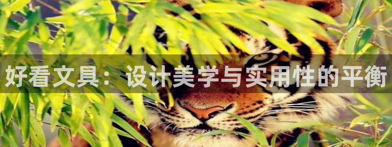 龙八国际害死多少人：好看文具：设计美学与