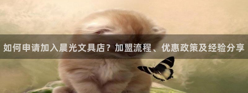 龙八国际娱乐城：如何申请加入晨光文具店？