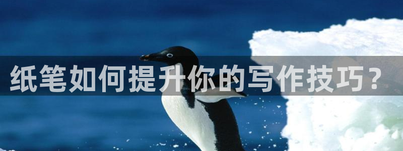 龙八国际手机客户端：纸笔如何提升你的写作