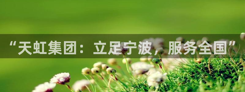 龙八国际体育：“天虹集团：立足宁波，服务