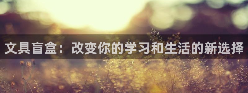 龙八国际官方网站手机版：文具盲盒：改变你