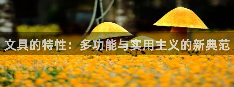 龙八国际登录网站：文具的特性：多功能与实