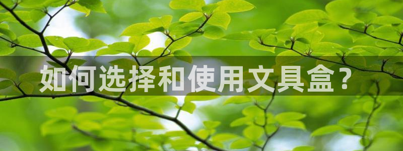 龙八国际网页long8868：如何选择和